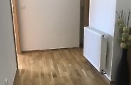 Nemovitost