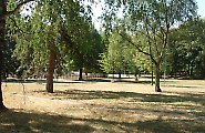 Nemovitost