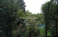 Nemovitost